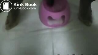 Dante Posh Shits In Bowl