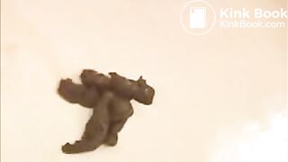 Feona Pooping and Smearing Shit 2