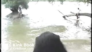 Brauner Stengel geleckt