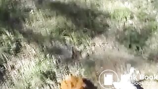 Chubby girl pooping in nature