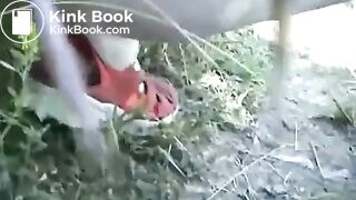 Chubby girl pooping in nature