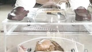 The brown side of life 519