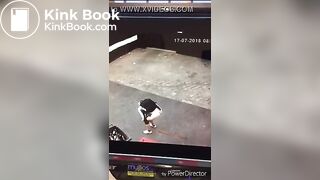 Desperate poop and diarrhea