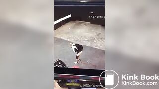 Desperate poop and diarrhea