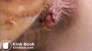 The brown side of life 754