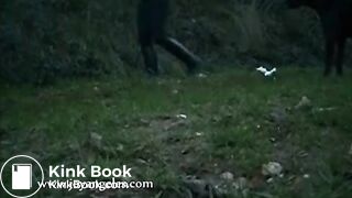 The brown side of life 1084