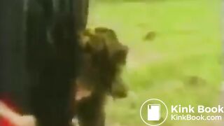 the horse shited on girl's head