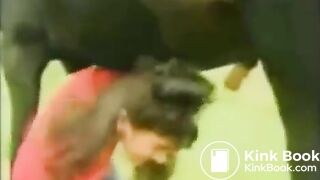 the horse shited on girl's head