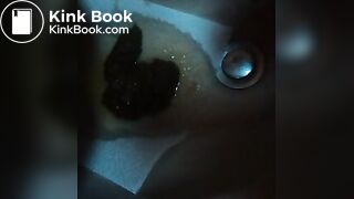 MOV00941
