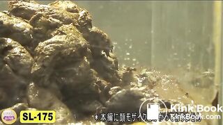 The brown side of life 699