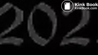 Sherry Birkin's Interrupted Shower