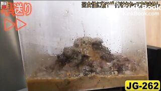 The brown side of life 64