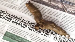 sexy newspaper poop