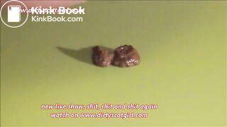 new live show, shit, shit and shit again