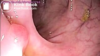 KELLY'S FOOD ADVENTURE