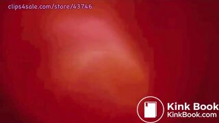 KELLY'S FOOD ADVENTURE