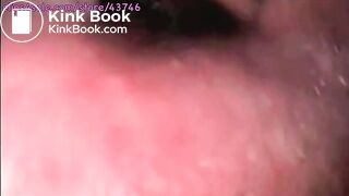 KELLY'S FOOD ADVENTURE