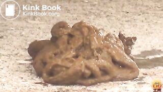 EVO Diarrhea Special Edition-part05