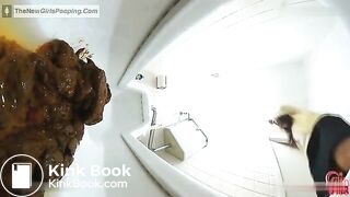 Broken Office Toilet