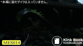 The brown side of life 416