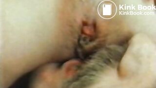 Color Climax - Bizarre Tastes