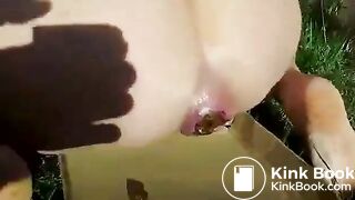 Hard poop in the garden