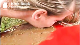 shit on the car and play with it