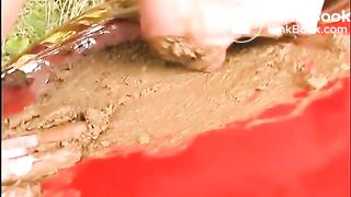 shit on the car and play with it