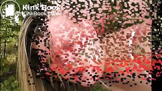 shit on the car and play with it