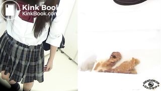 The brown side of life 737