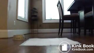 The Sweeter Side Of Chocolate — kpeepee She just made it