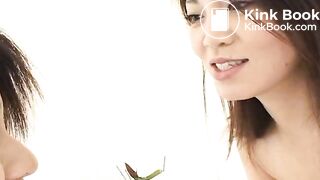 The brown side of life 848