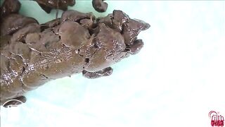 The Best of Japanese poop (personal fav)