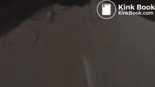 The Japanese doing what they do best 3