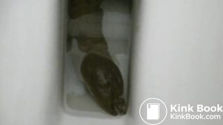 Squatting on toilet seat