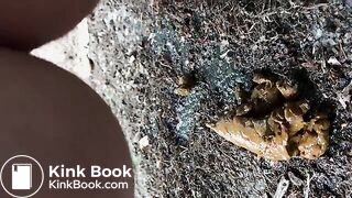 shooting range pee poop