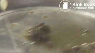 The brown side of life 748