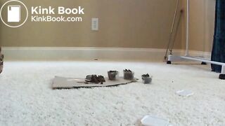 KV_VID (87)