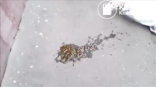 drunk russian girl passed out after pooping in the street - uncensored version