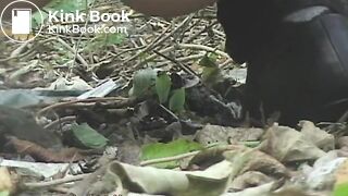Squidgy shit in the woods