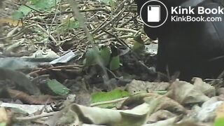 Squidgy shit in the woods
