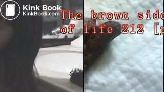 The brown side of life 212