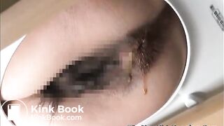 Japanese Western Toilet Bowlcam 58-part01