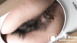 Japanese Western Toilet Bowlcam 58-part01
