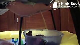 Spanish girls pooping on slave (1)