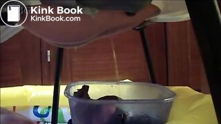 Spanish girls pooping on slave (1)