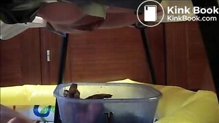 Spanish girls pooping on slave (1)