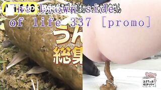 The brown side of life 337