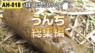 The brown side of life 337