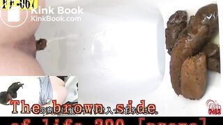 The brown side of life 290